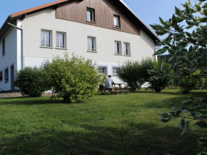 Gîte Confortable en Pleine Nature avec Cheminée et Accès Direct aux Sentiers, Proche Gérardmer et Lac - FR-1-589-124